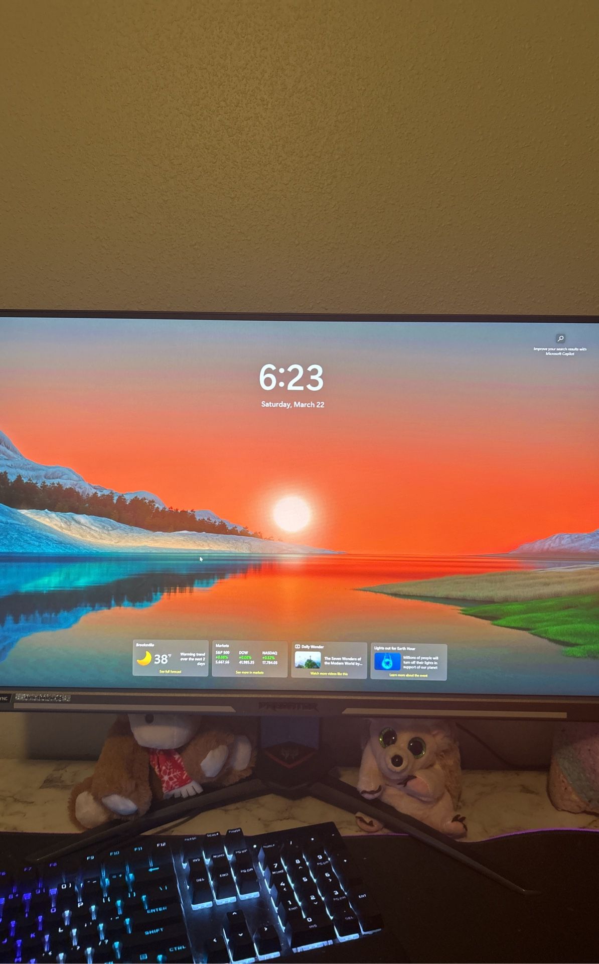 Predator Gaming Monitor 240hz