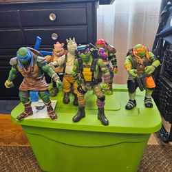 Ninja turtle