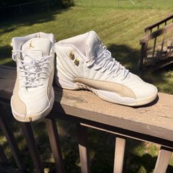 Retro Air Jordan 12 OVO High Tops