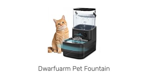 Water fountain for cats