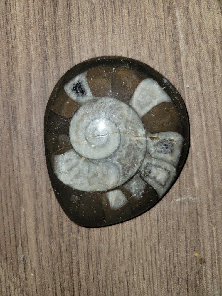 Fossil