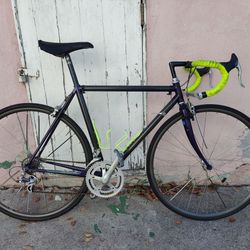 Trek 2100