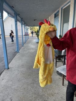 Chicken Costume
