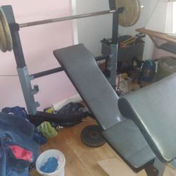 3 Level Bench Press W/  Curl Station