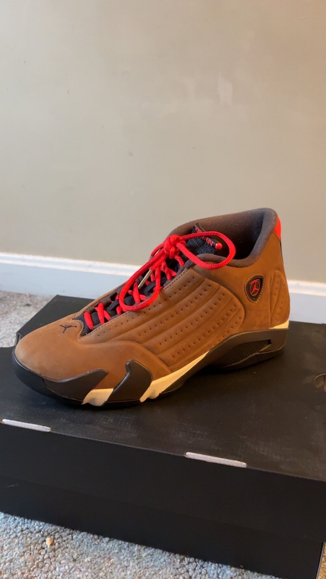 Jordan 14 Retro SE