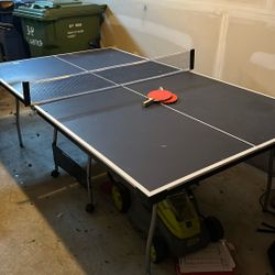 Ping Pong Table 