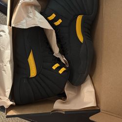 Air Jordan’s Retro 12 