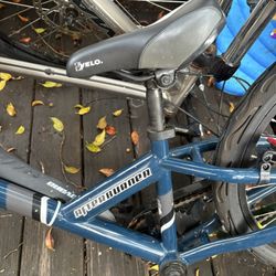 Afterburner Tag Along Childs Bike Trailer 