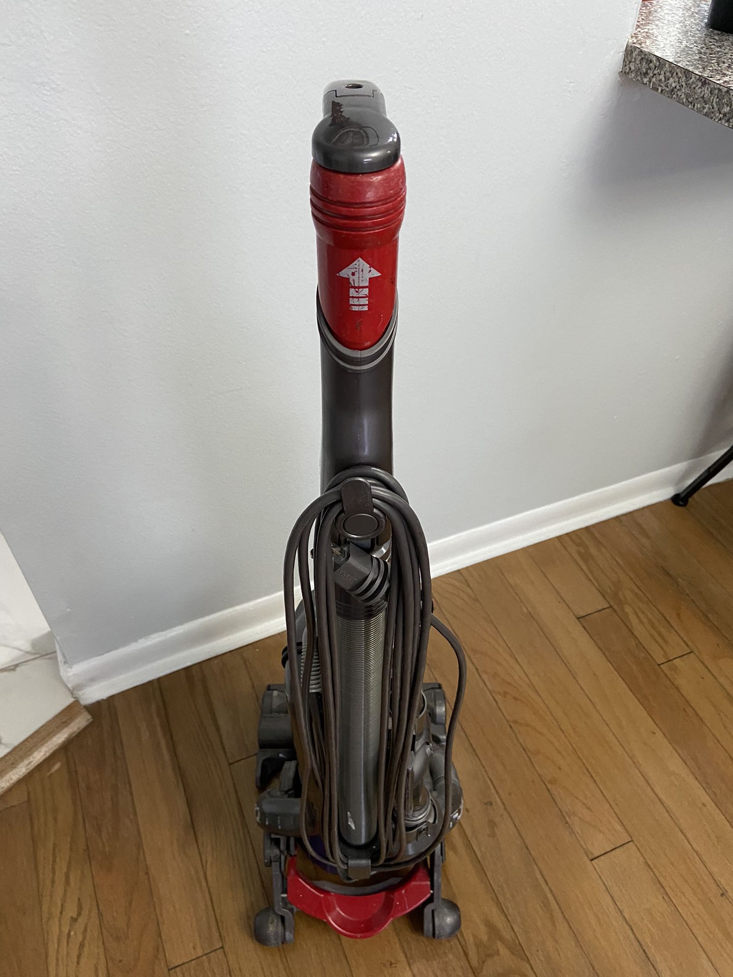 Dyson Ball DC 25 Animal design for homes with pets