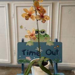 Plantita Artificiales 