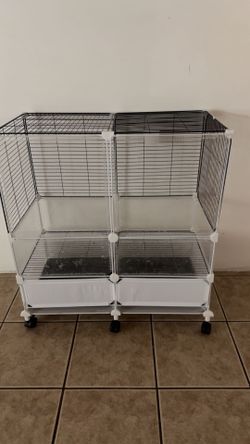 Bird Cage