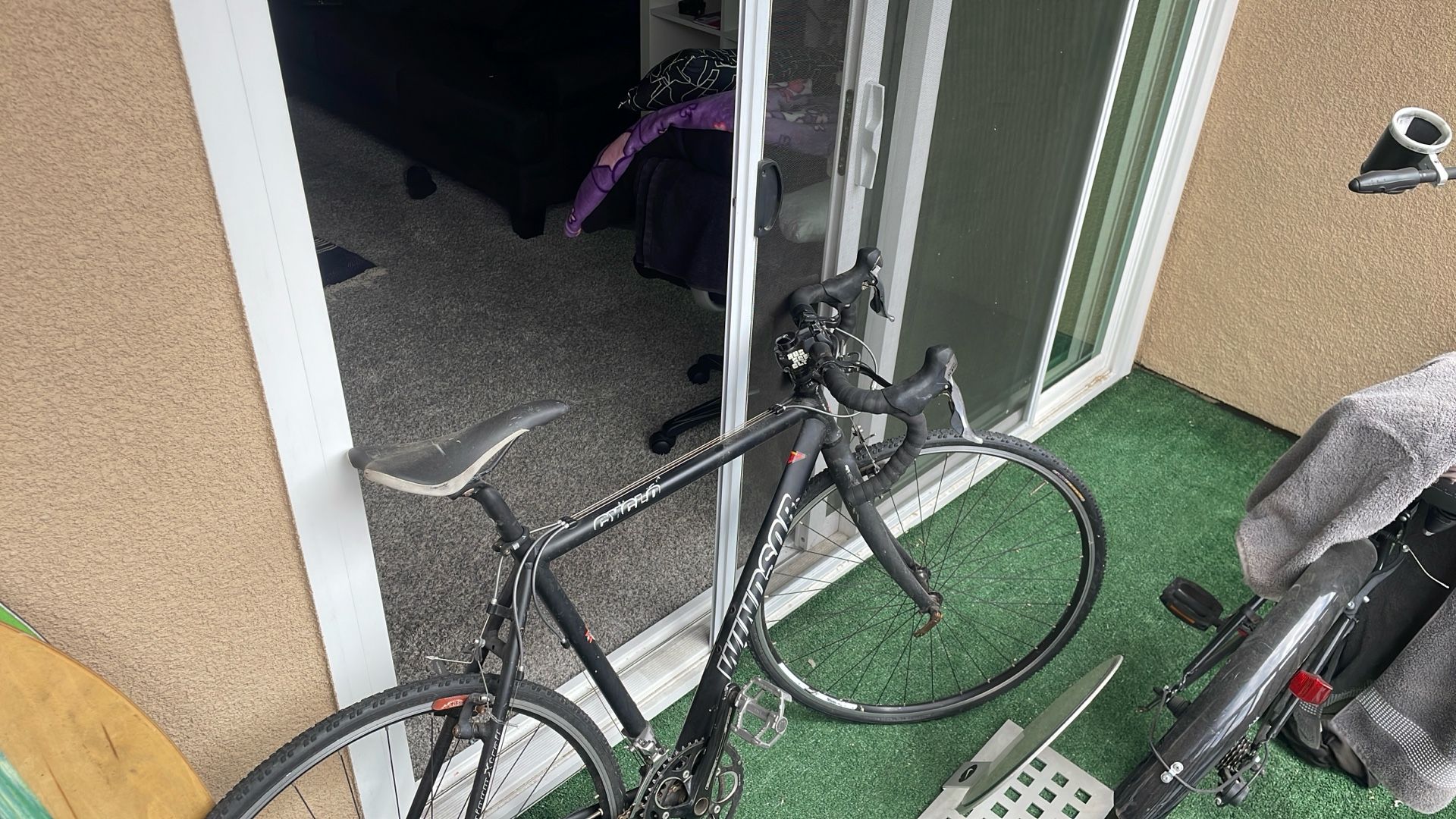 Windsor Bike