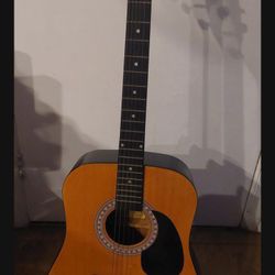 Vintage Burswood Esteban 6-String Acoustic  Guitar