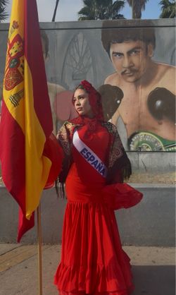 Flamenca dress