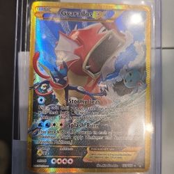 Shiney Gyrados Ex And More! 