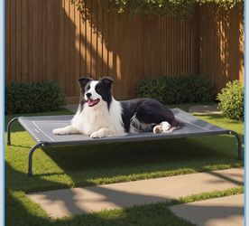 Dog bed large