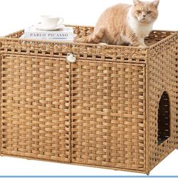 Cat Litter Box