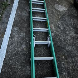 16 Ft Ladder Werner 