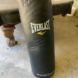Everlast Punch Bag