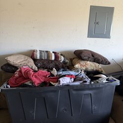 Women’s Bulk Clothing