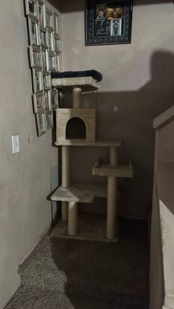 Cat tree house