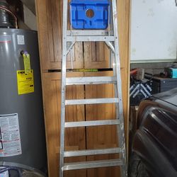 WARNER LADDER 6FT. 