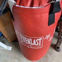 Speed Bag/ kick Bag / Large Punch Bag