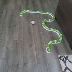 Cat Toy