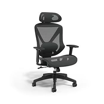 Ergonomic Mesh Swivel Chair - Like New