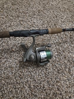 Fishing rod and reel