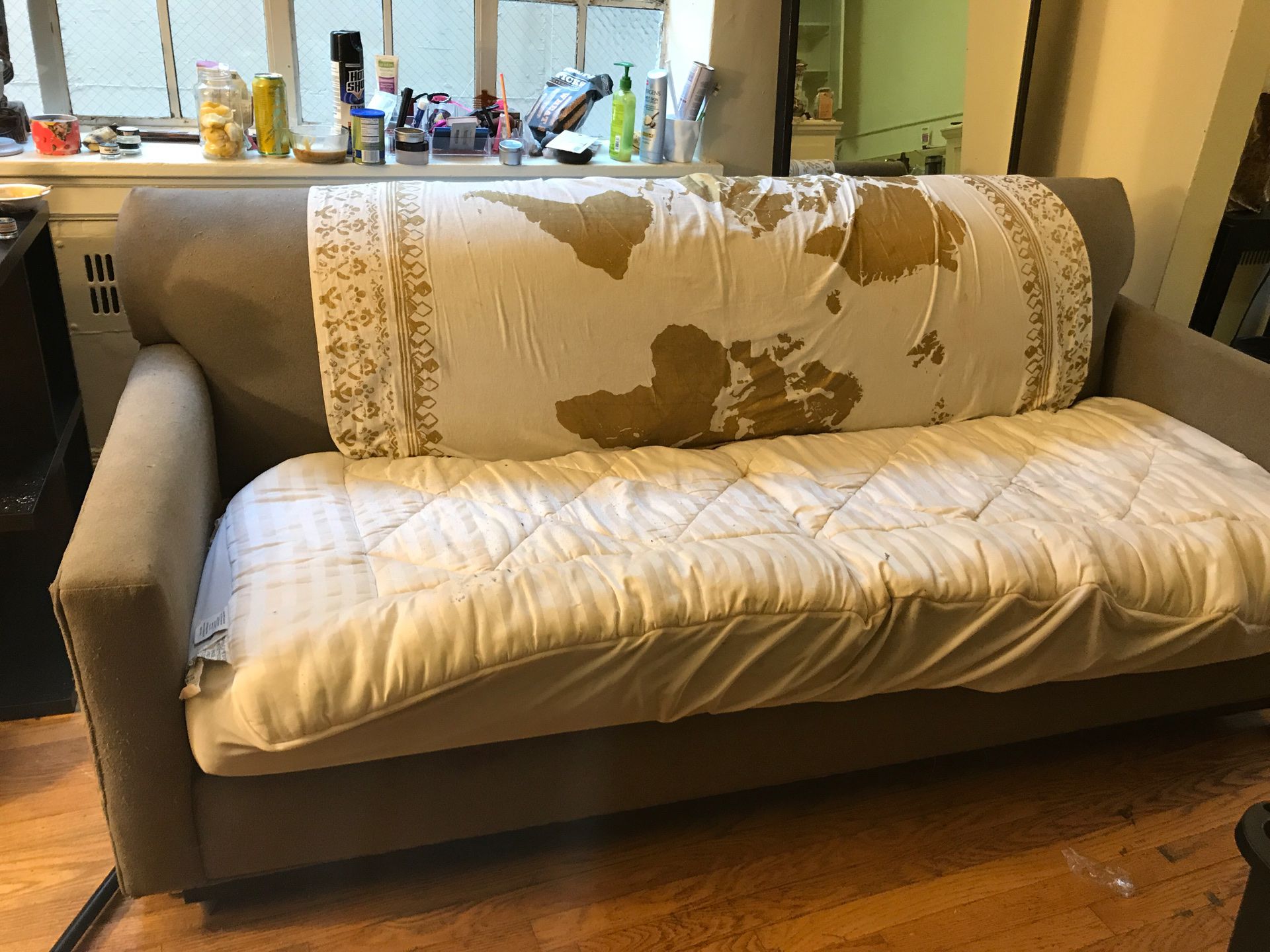 Free pull out bed couch