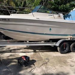 Stripper Walkaround Boat