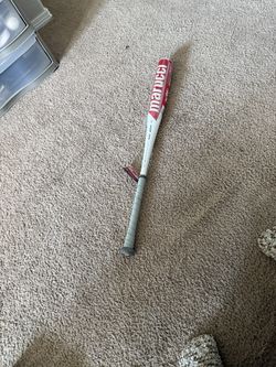 Bat