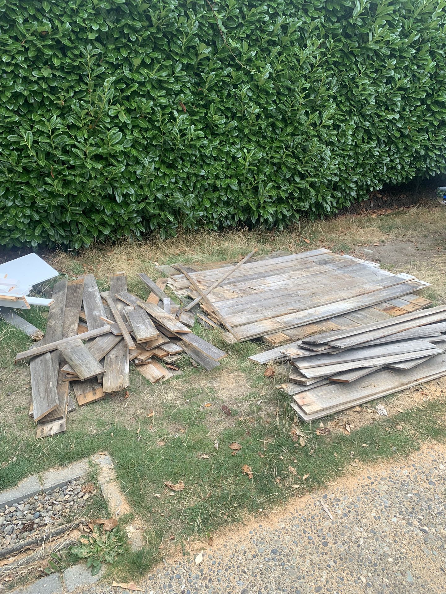 FREE WOOD
