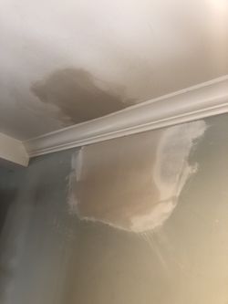 Damaged Drywall And Roof Leak