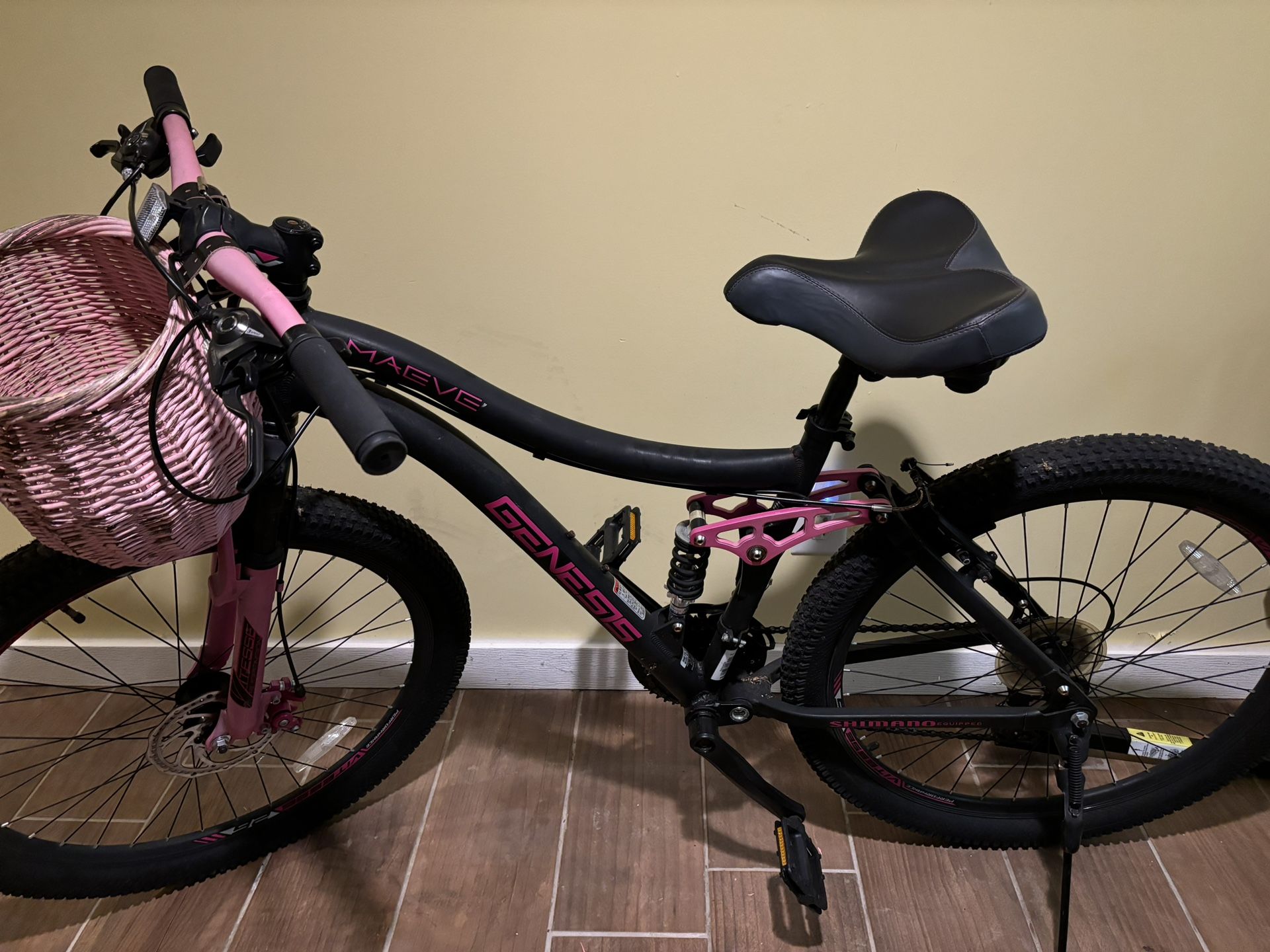 Mountain Bike $220