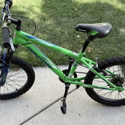 20 Inch Kids Bicycle 