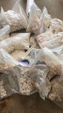 39 lbs box of seashells
