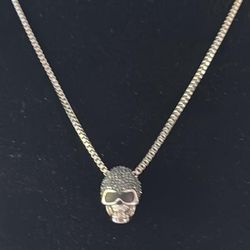 Stainless Steel Necklace Size 22” With A Skull 