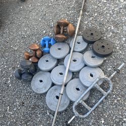 Weights Bars 