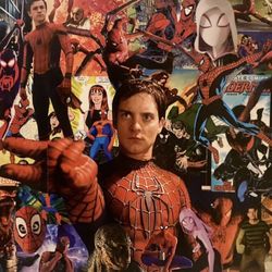 Spider-Man Multiverse Collage Poster