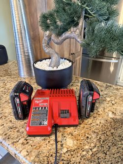 Milwaukee 3-Piece Set: Charger and 2 Batteries