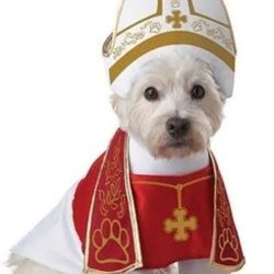 HOLY HOUND DOG COSTUME SIZE MEDIUM $15