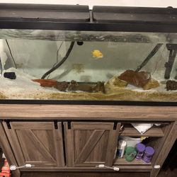 Fish Tank 55g