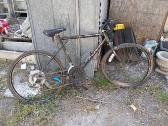 Murray Mountain Bike