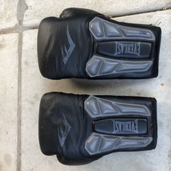Everlast Gloves 