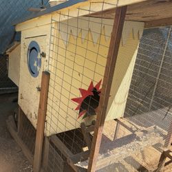 Used Chicken Coop