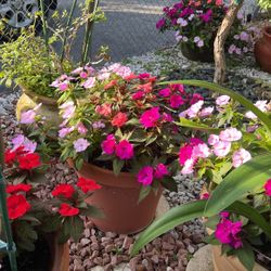 2009 Chevy Silverado Z71 