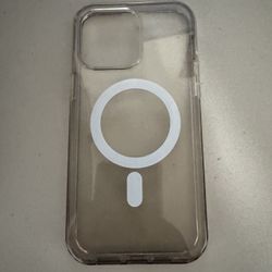 iPhone 16 Pro Max Case 