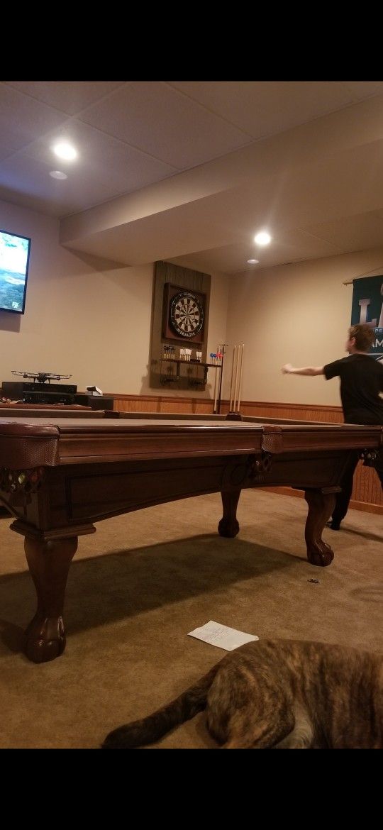 Olhausen Pool Table with Ping Pong tabletop